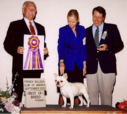 Ch Bandogs's Jump For Joy